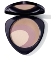 (obrázek pro) Teint Powder 01